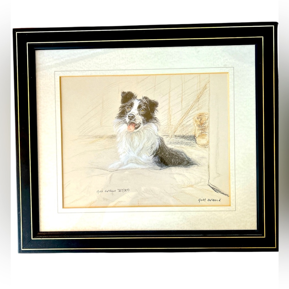 Framed and Signed Border Collie Art Print